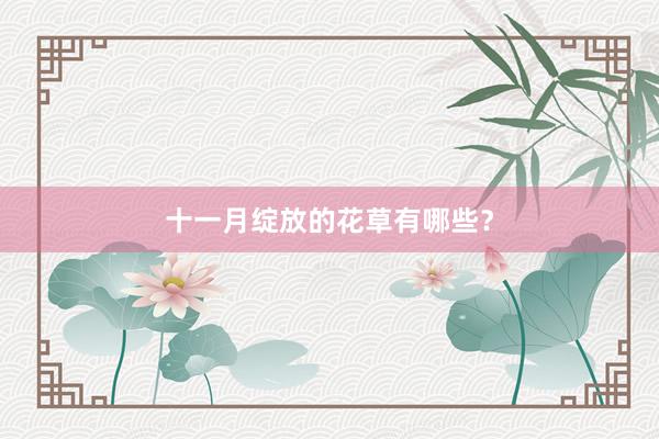 十一月绽放的花草有哪些?